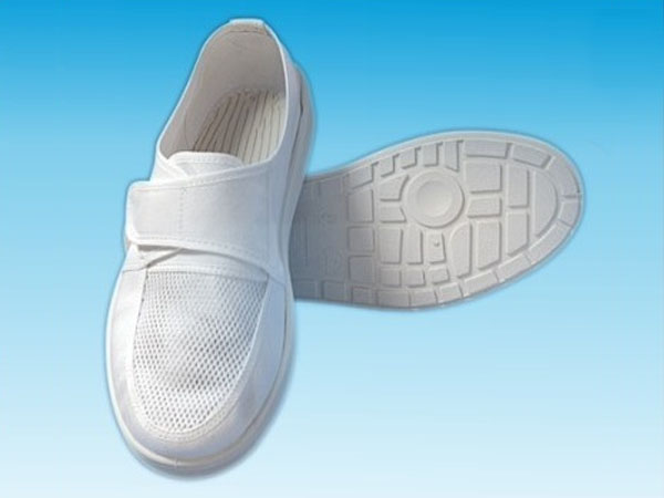 Mesh Side Shoes